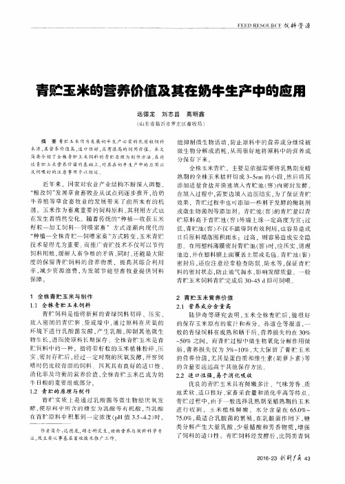 青贮玉米的营养价值及其在奶牛生产中的应用
