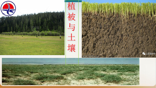人教版植被和土壤新旧教材分析PPT优秀课件