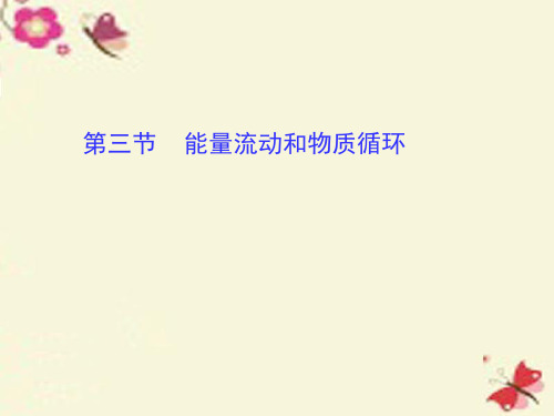 济南版生物八下6.2.3《能量流动和物质循环》ppt课件