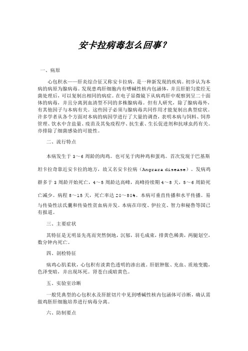 安卡拉病毒怎么回事