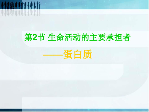 蛋白质的结构多肽链