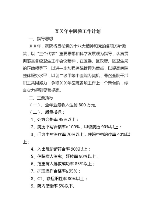 中医医院年度工作计划