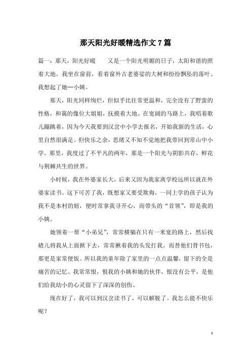那天阳光好暖精选作文7篇