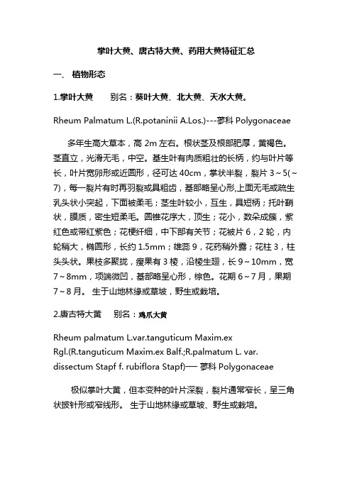 掌叶大黄、唐古特大黄、药用大黄特征汇总
