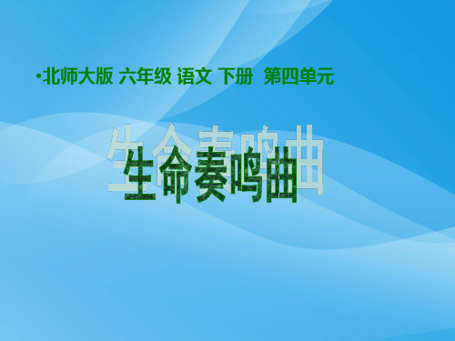 生命奏鸣曲语文课件PPT