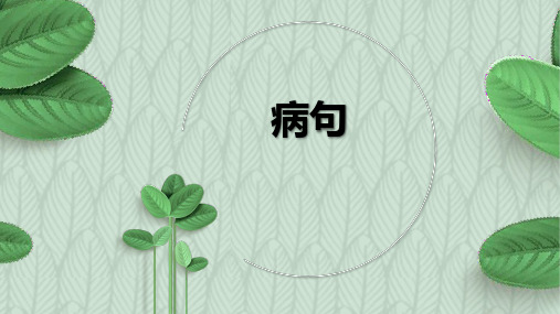 病句类型及常见题型