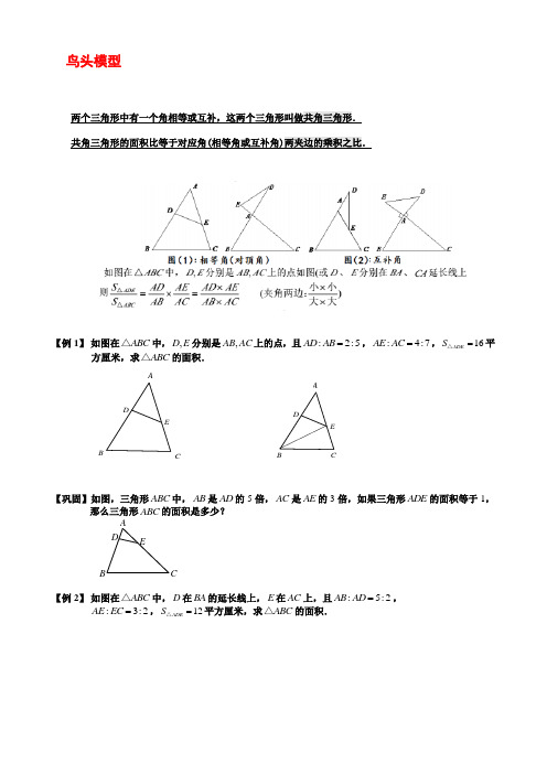 鸟头模型