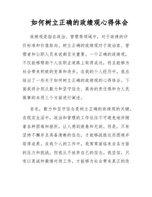 如何树立正确的政绩观心得体会