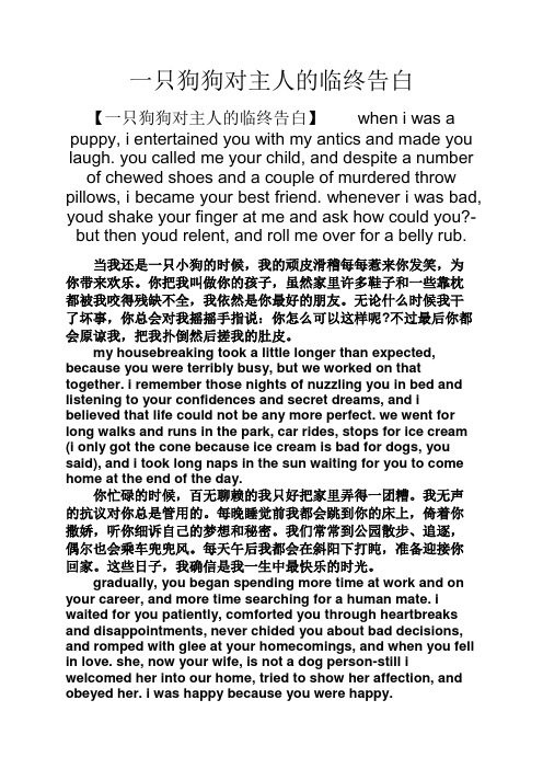 美文欣赏之一只狗狗对主人的临终告白