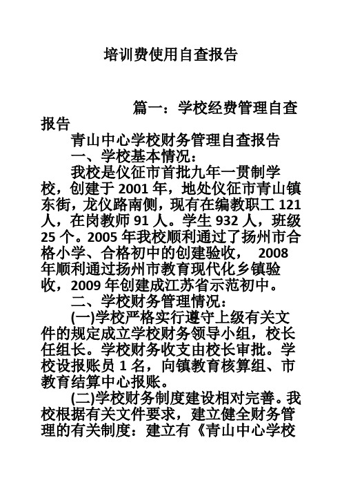 培训费使用自查报告
