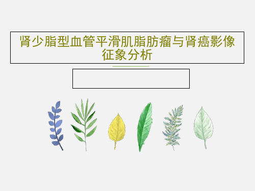 肾少脂型血管平滑肌脂肪瘤与肾癌影像征象分析共18页PPT