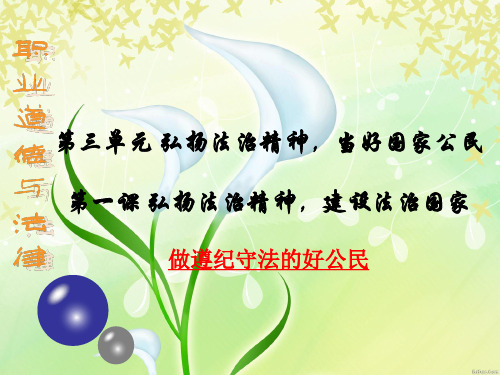 模块一 弘扬法治精神_建设法治国家