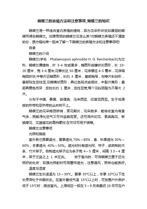 蝴蝶兰的养殖方法和注意事项_蝴蝶兰的知识