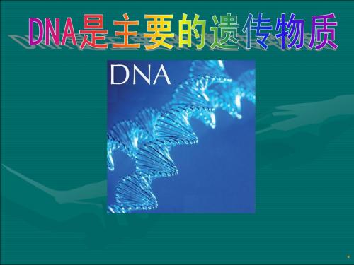 人教版教学课件云南省2012年新课标高考备考复习研讨会：生物《DNA是主要的遗传物质》课件