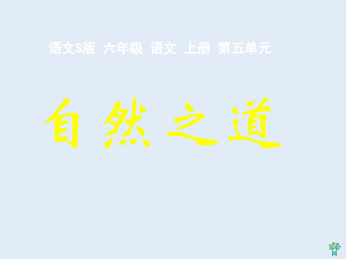 (语文S版)六年级语文上册课件 自然之道 PPT教学课件