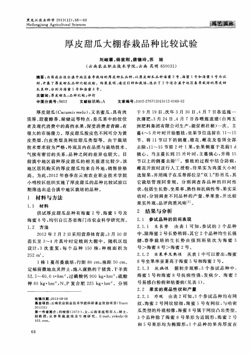 厚皮甜瓜大棚春栽品种比较试验