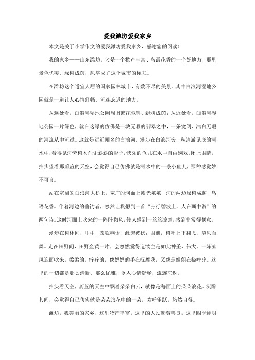 爱我潍坊爱我家乡_小学作文