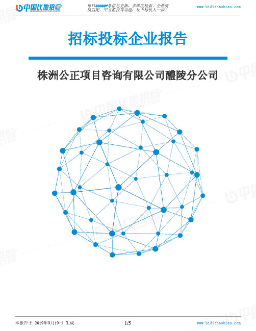株洲公正项目咨询有限公司醴陵分公司_中标190920