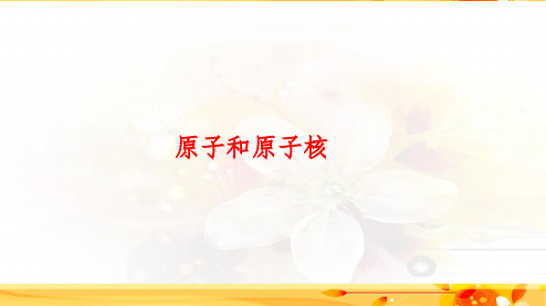 2020高考物理专题复习原子和原子核PPT课件