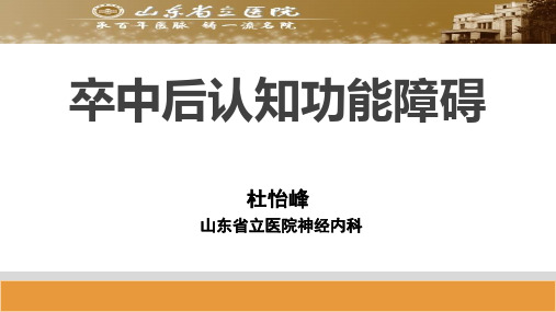 VCI的诊断与治疗
