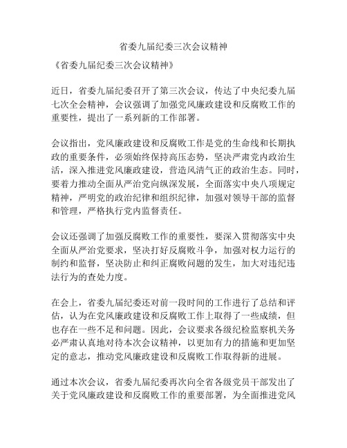 省委九届纪委三次会议精神