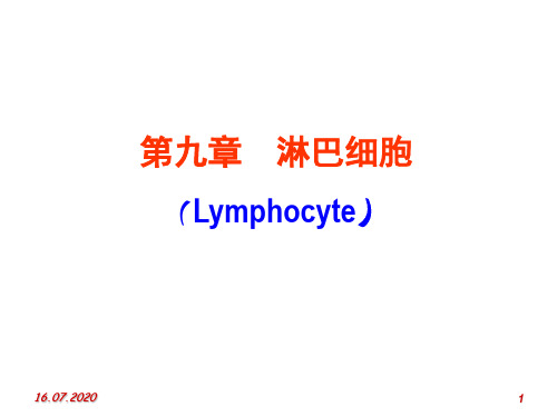 第九章淋巴系统PPT课件