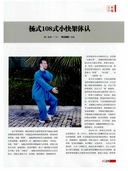 杨式108式小快架体认
