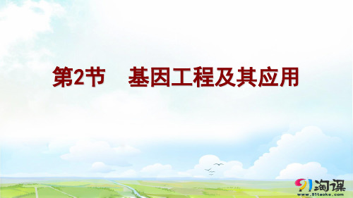 高中生物必修2优质课件2：6.2 基因工程(精讲精析)