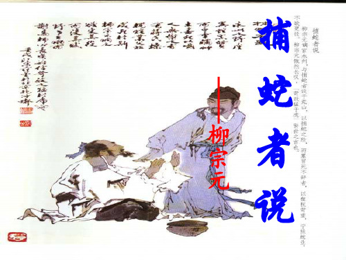 学九年级语文下册 第四单元 第18课《捕蛇者说》课件 鲁教版