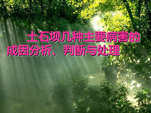 土石坝几种主要病害的成因分析、判断与处理