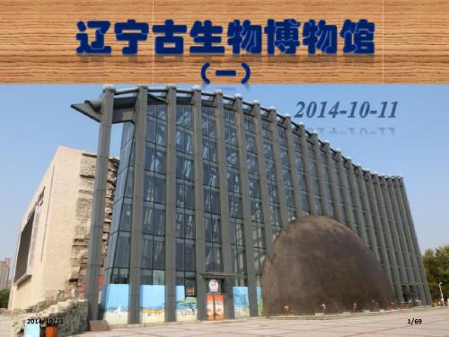 辽宁古生物博物馆1
