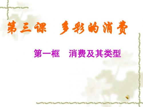 消费及其类型PPT课件