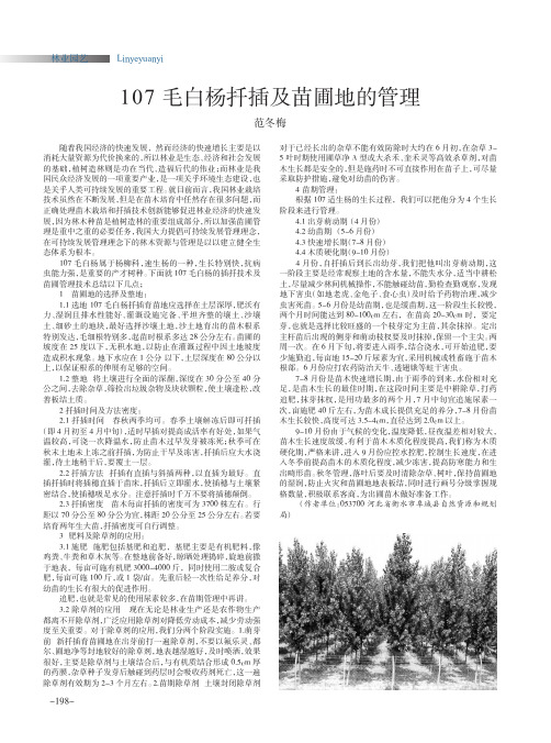 107毛白杨扦插及苗圃地的管理