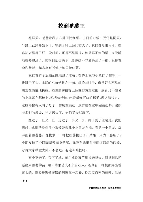挖到番薯王_小学作文