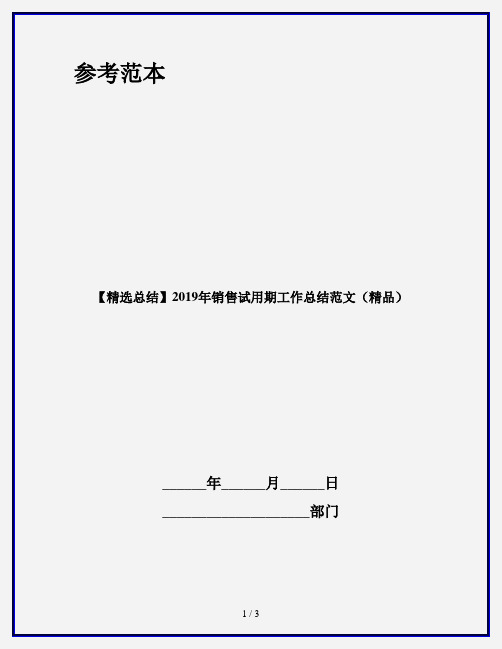 【精选总结】2019年销售试用期工作总结范文(精品)