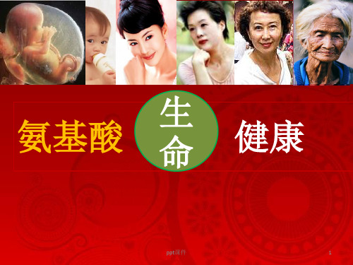 氨基酸  ppt课件