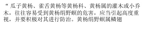 如何防治黄杨绢野螟 【病虫害防治】