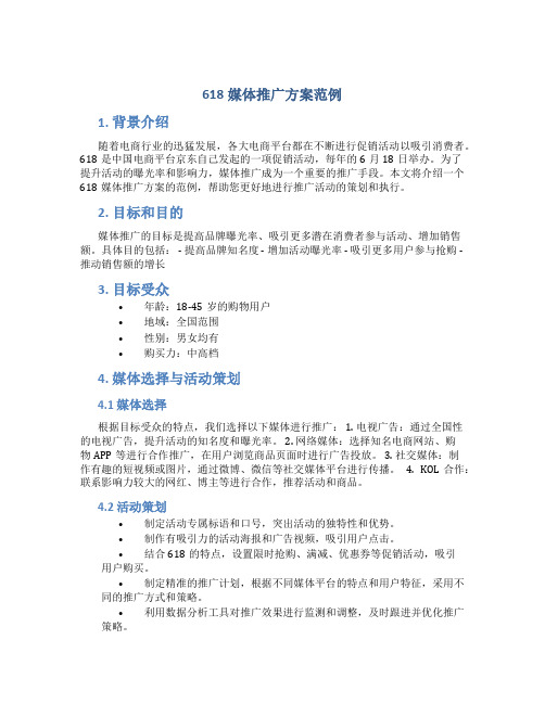 618媒体推广方案范例
