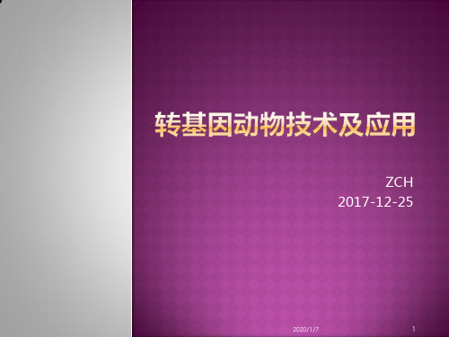 转基因应用PPT课件