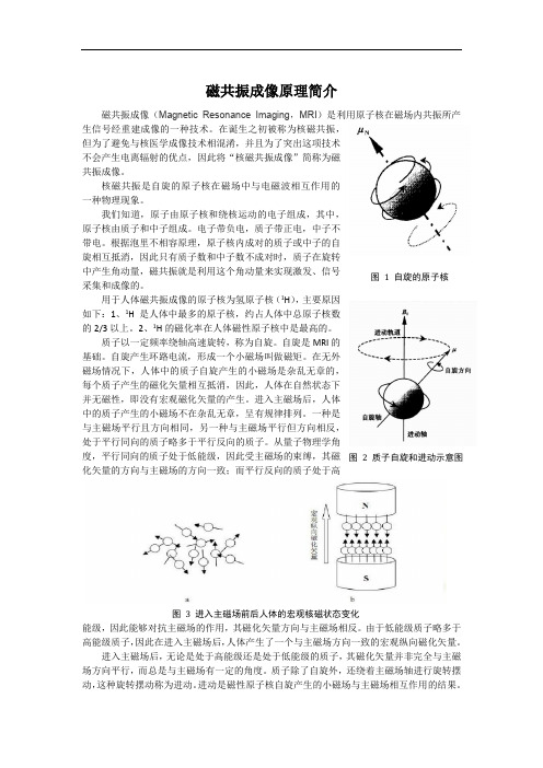 磁共振成像原理简介