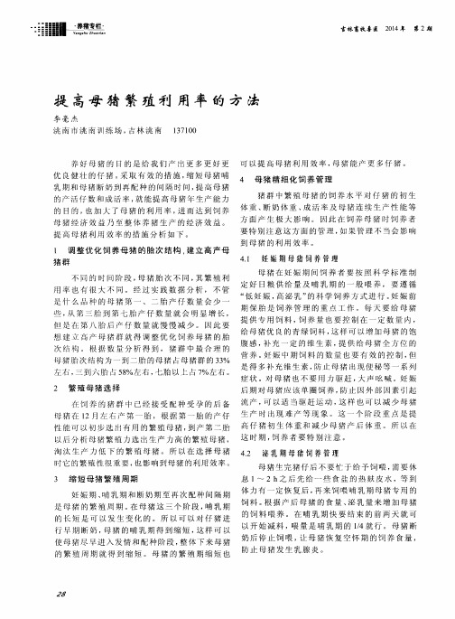 提高母猪繁殖利用率的方法
