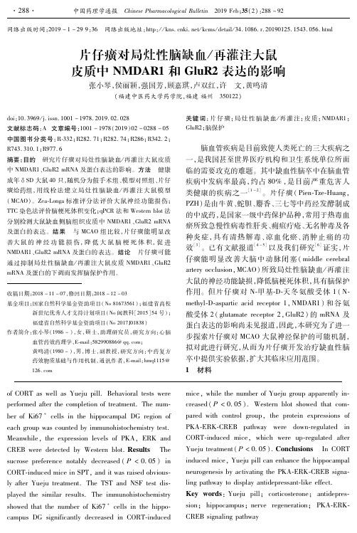 片仔癀对局灶性脑缺血再灌注大鼠皮质中NMDAR1和GluR2表达的影响