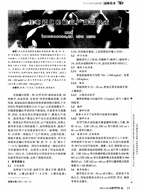 红枣矮化密植高产栽培技术