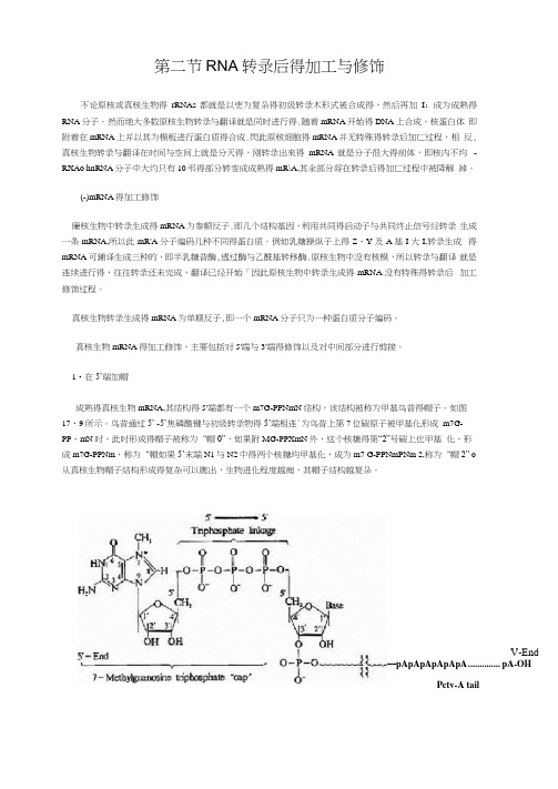RNA转录后的加工与修饰