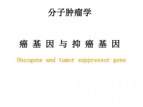 分子肿瘤学3癌基因与抑癌基因