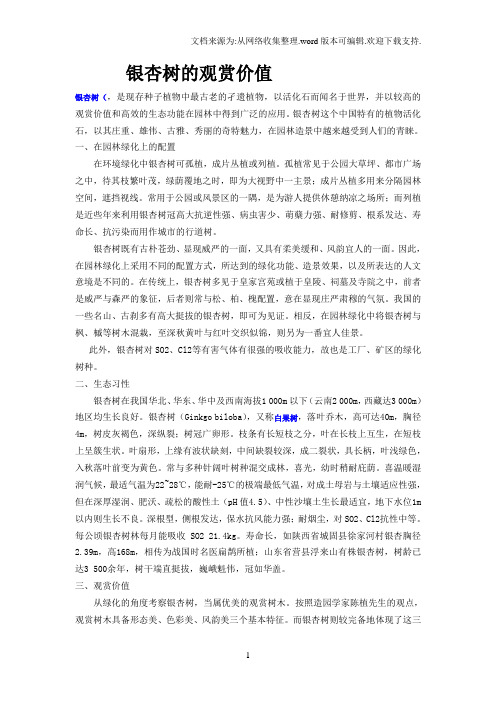 银杏树的观赏价值