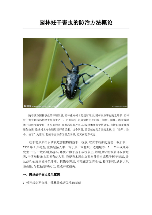 园林蛀干害虫的防治方法概论