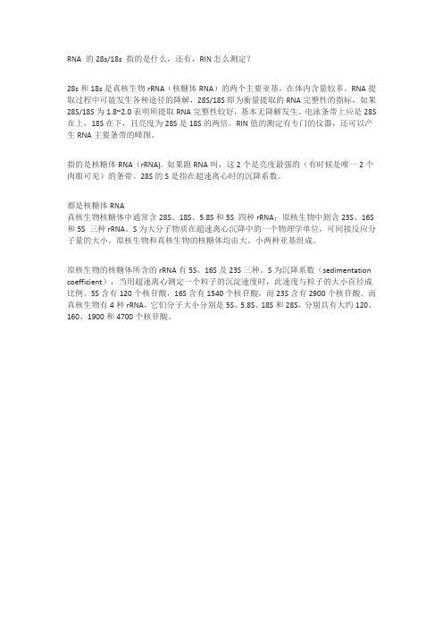 提取RNA——18s和28s