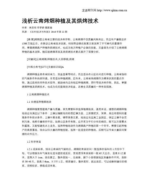 浅析云南烤烟种植及其烘烤技术