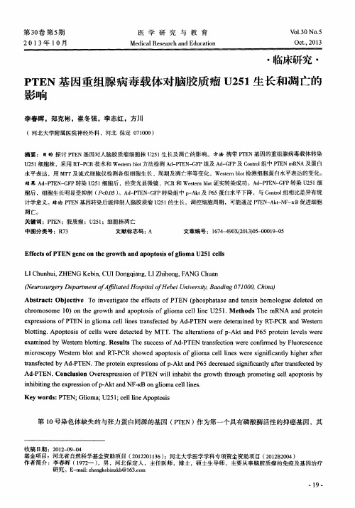 PTEN基因重组腺病毒载体对脑胶质瘤U251生长和凋亡的影响